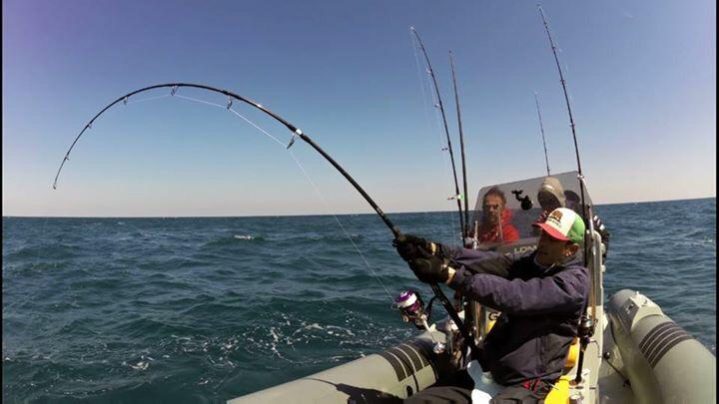 Vasche del Vivo per la Pesca Sportiva - Motomarine Fishing